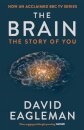 The Brain