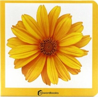Amarillo