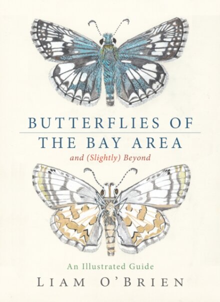 Butterflies of the Bay Area and (Slightly) Beyond