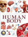 Knowledge Encyclopedia Human Body