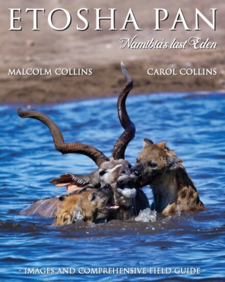 Etosha Pan