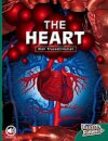 The Heart