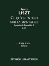 Ce qu'on entend sur la montagne, S.95
