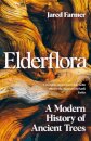 Elderflora