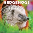 Hedgehogs 2025 12 X 12 Wall Calendar