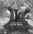 Olive Trees