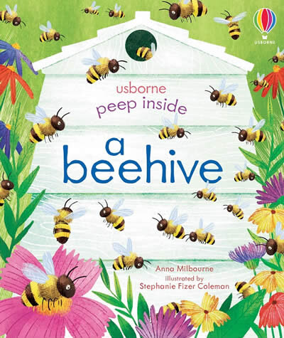 Peep Inside A Beehive