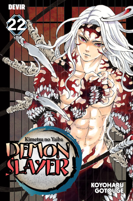Demon Slayer 22