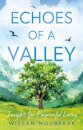 Echoes of a Valley
