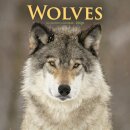 Wolves Square Wall Sunday Start Calendar