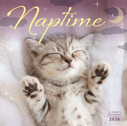 Naptime Square Wall Sunday Start Calenda