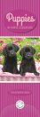 Puppies By Greg Cuddiford Slim Calendar