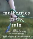 Mulberries in the Rain