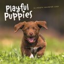 Playful Puppies Square Wall Sunday Start