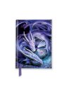 Anne Stokes: Welcome Hatchling 2025 Luxury Pocket Diary Planner - Week to View