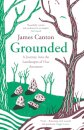 Grounded