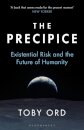 The Precipice