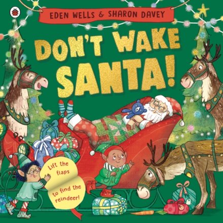 Don'T Wake Santa