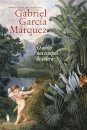 O Amor Nos Tempos De Cólera