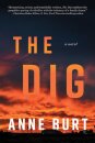 The Dig