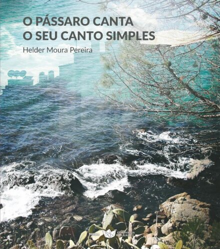 O Pássaro Canta O Seu Canto Simples