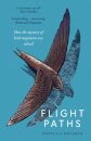 Flight Paths