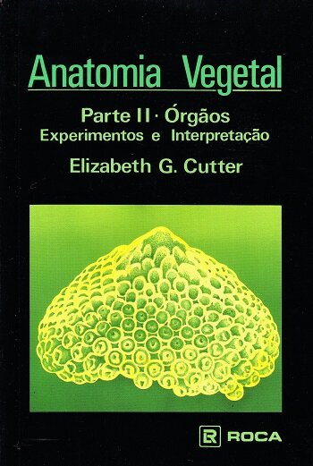 Anatomia Vegetal Parte 2 Órgãos