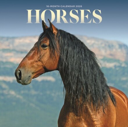 Horses Square Mini Sunday Start Calendar