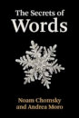 The Secrets Of Words