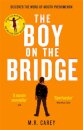 The Boy On The Bridge