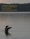 Ontario Wildlife Photography
