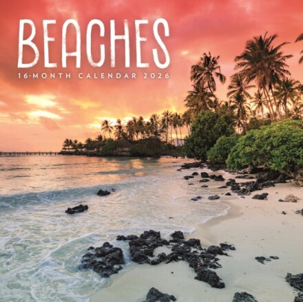 Beaches Square Mini Sunday Start Calenda