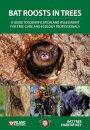 Bat Roosts in Trees