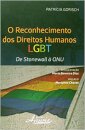 O Reconhecimento Dos Direitos Humanos Lgbt: Stonewall À ONU