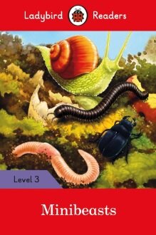Minibeasts Lbr L3