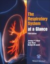 The Respiratory System at a Glance