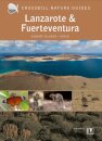 Lanzarote and Fuerteventura