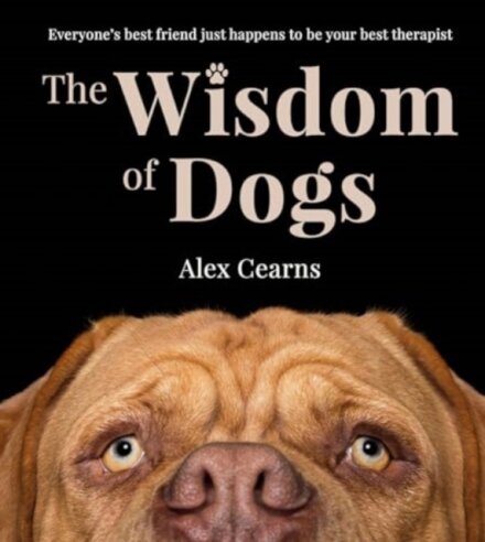 The Wisdom Of Dogs: The adorable and funny new book from the photographer behind the bestselling QUOKKA'S GUIDE TO HAPPINESS and ZEN DOGS