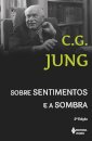 Sobre Sentimentos E A Sombra: Sessões Perguntas D Winterthur