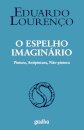 O Espelho Imaginário-Pintura, Antipintura, Não-Pintura