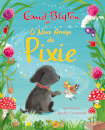O Novo Amigo da Pixie