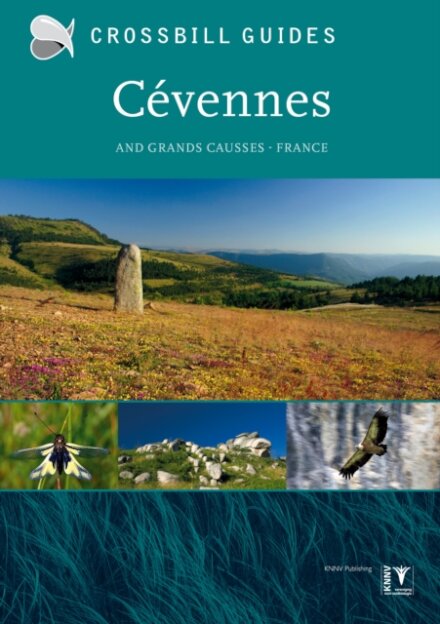 Crossbill Nature Guide Cevennes