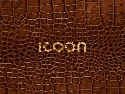 ICOON-croco 2008