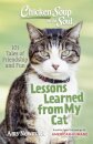 Chicken Soup for the Soul: Lessons Learned from My Cat