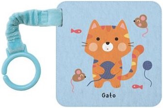 Gato