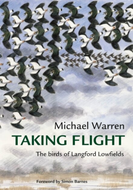 Taking Flight