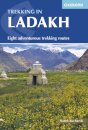 Trekking in Ladakh