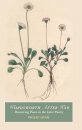 Wordsworth After War