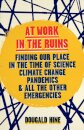 At Work in the Ruins