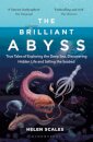 The Brilliant Abyss